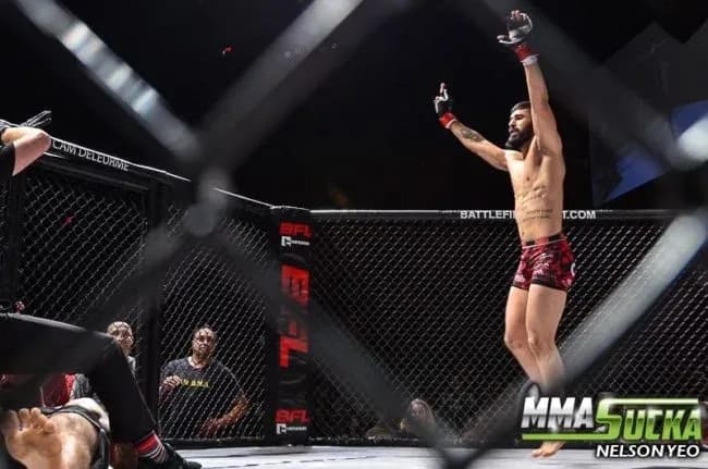 MMA article image