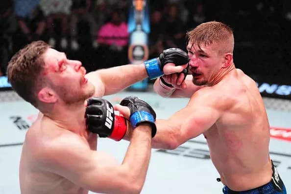 MMA article image