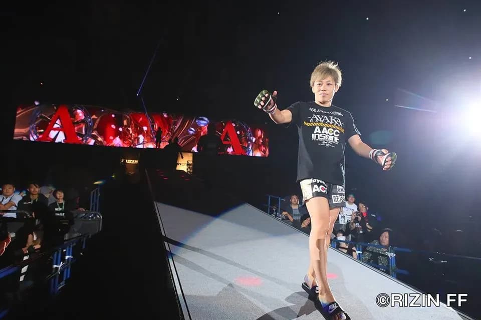Fights to make following RIZIN 13