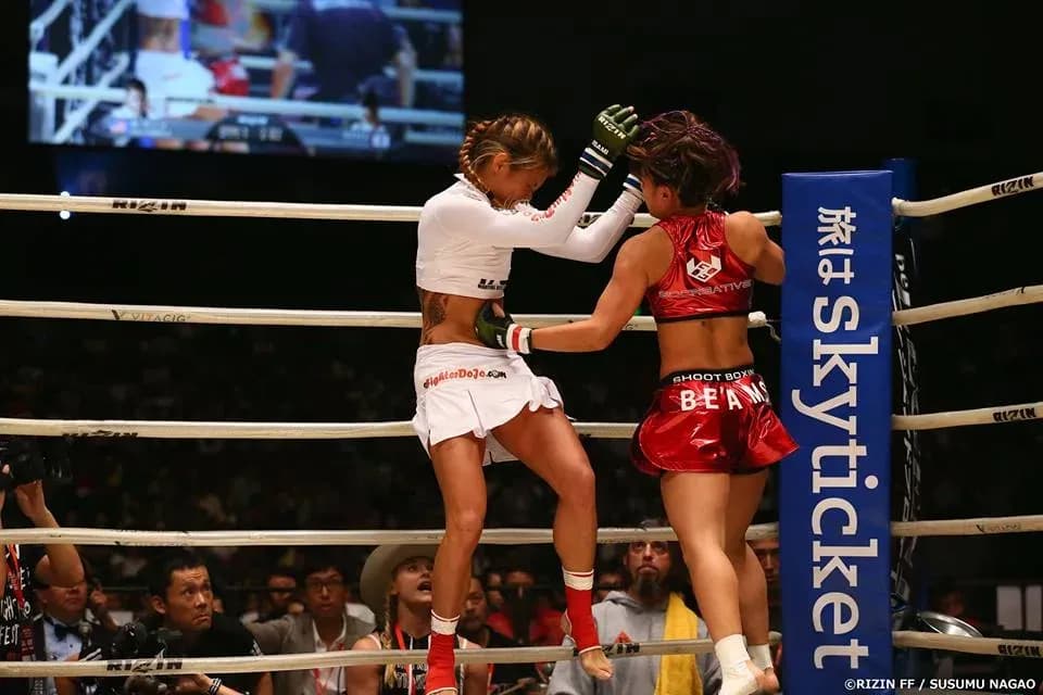 MMA article image