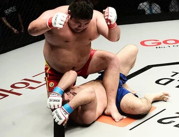 MMA article image