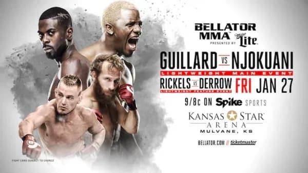 MMA article image