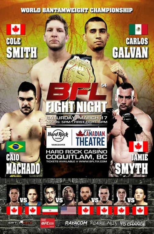 MMA article image
