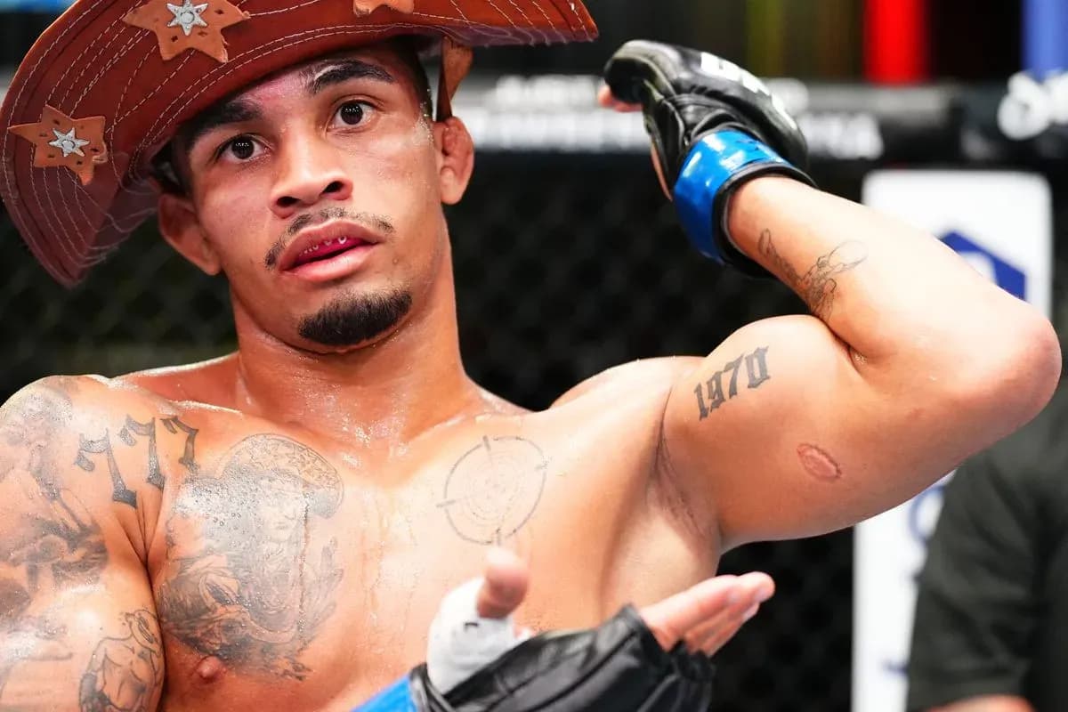MMA article image
