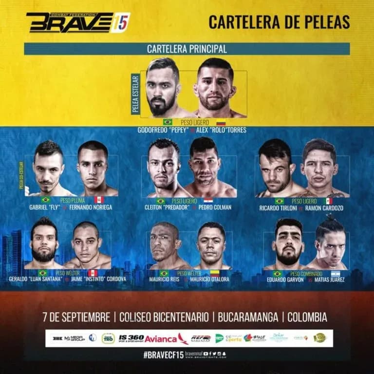 MMA article image