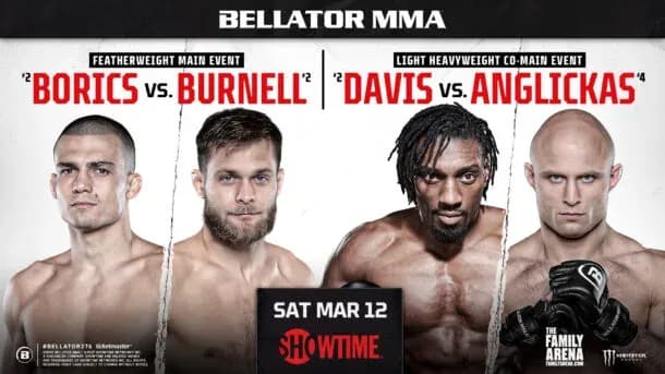 MMA article image