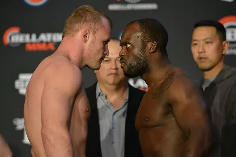 MMA article image