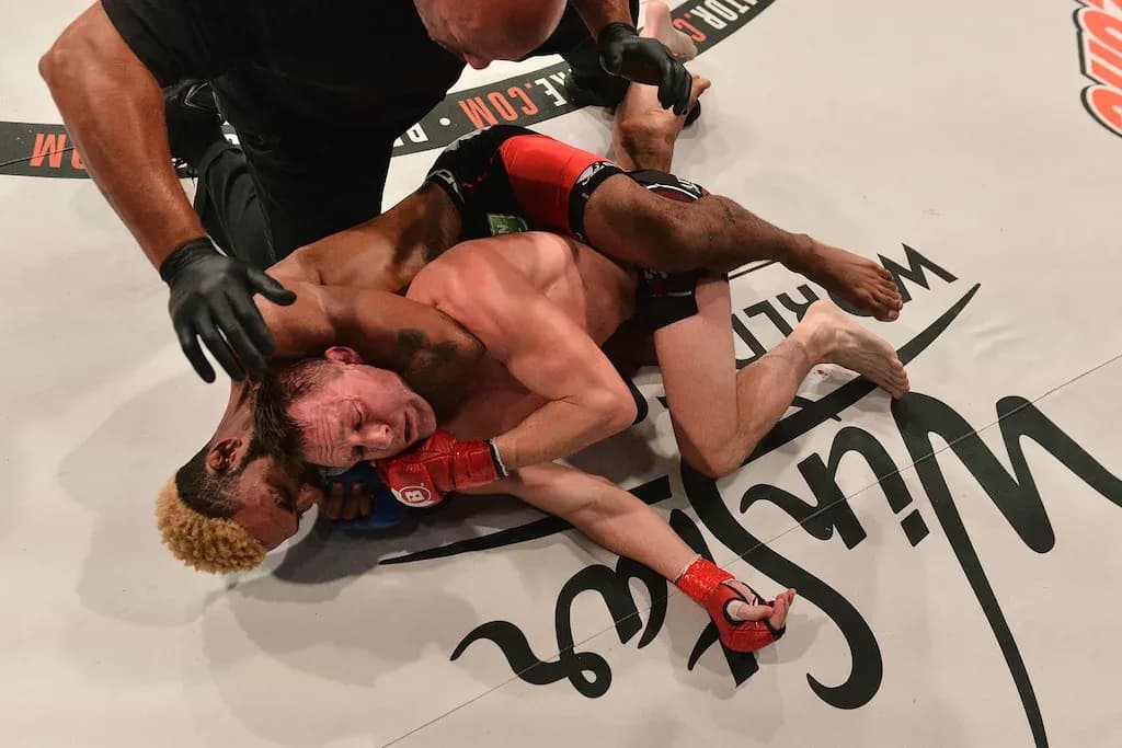 MMA article image