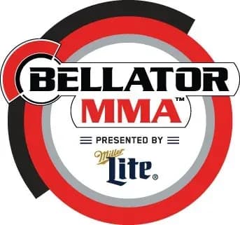 MMA article image