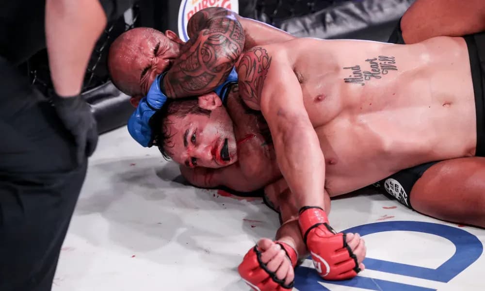 Bellator's Rising Rookies