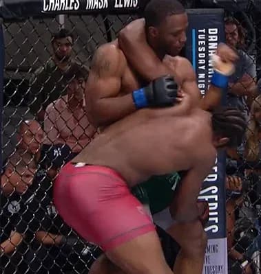 MMA article image