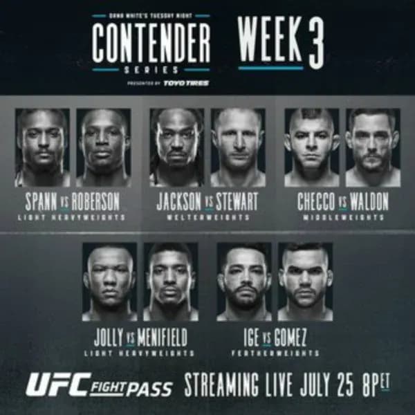 MMA article image