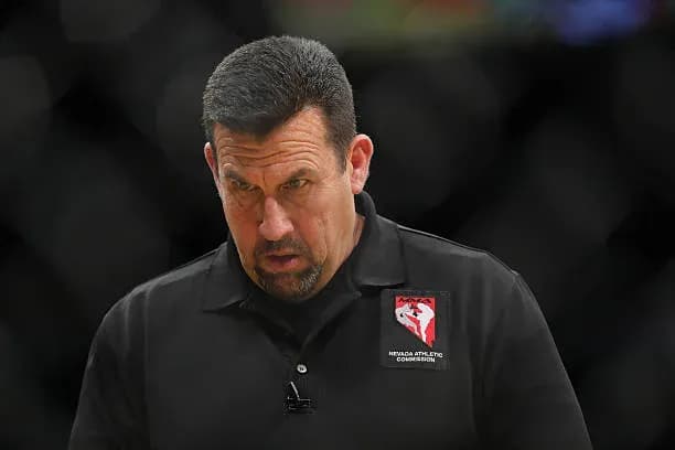 MMA article image