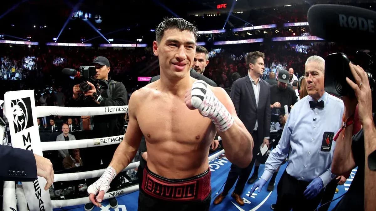 Bivol