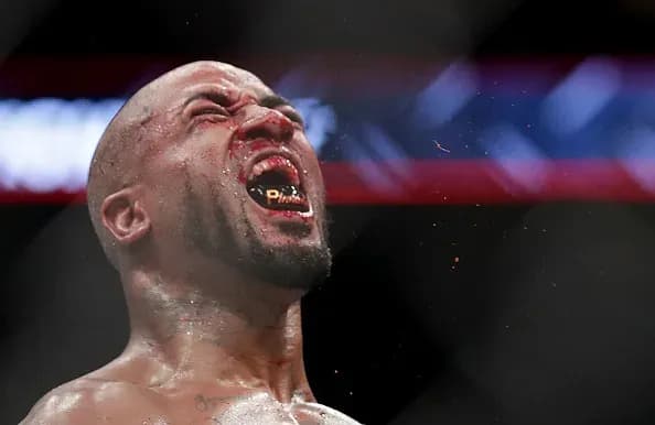 MMA article image