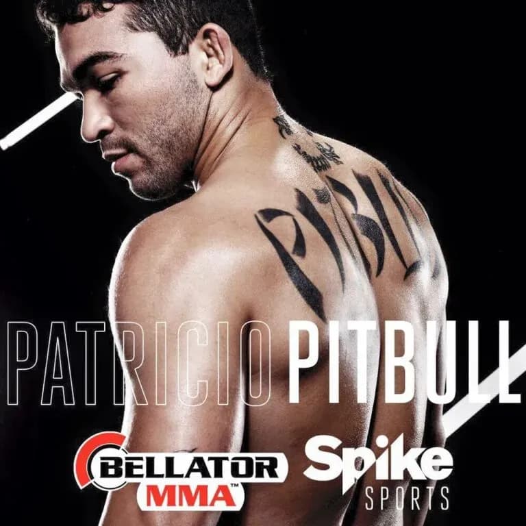 MMA article image