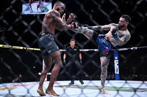 UFC London Aftermath