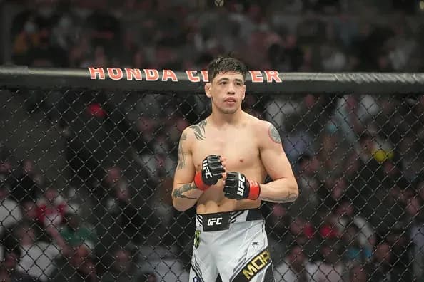 MMA article image