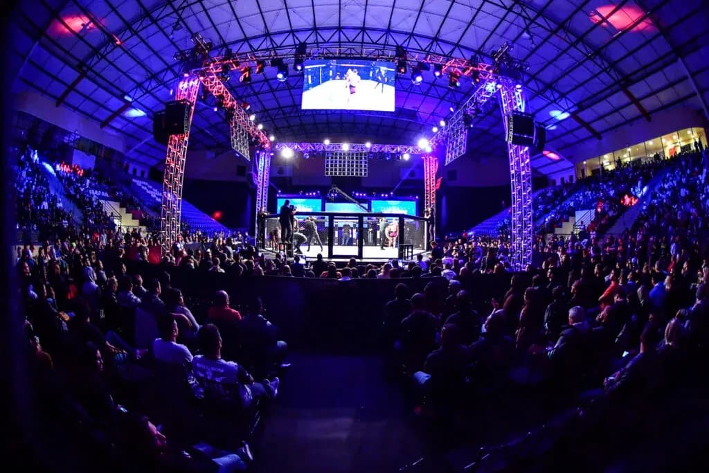 MMA article image