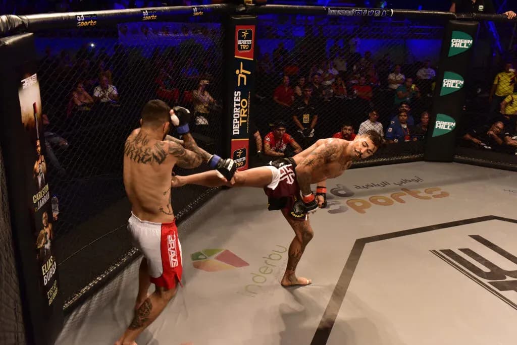 MMA article image