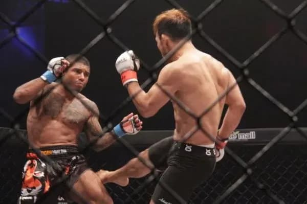 MMA article image