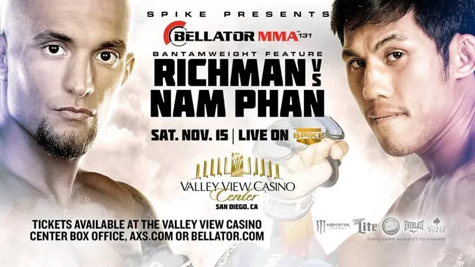 MMA article image