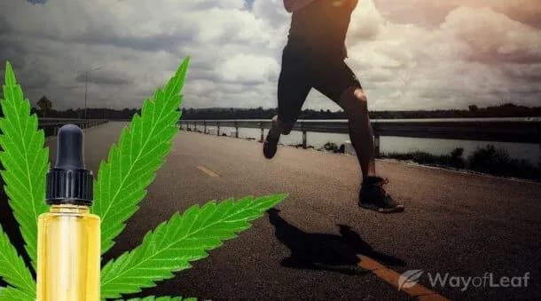 CBD Benefit