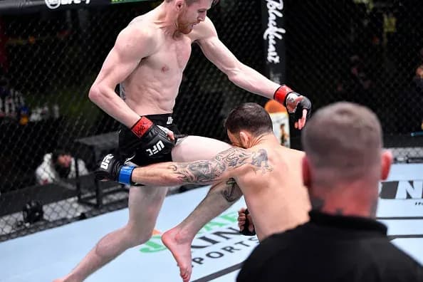 MMA article image