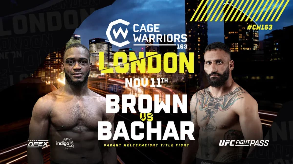 MMA article image