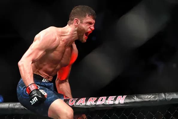 MMA article image
