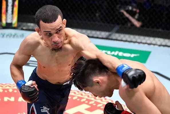 MMA article image