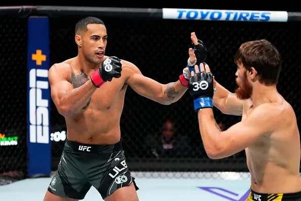 MMA article image
