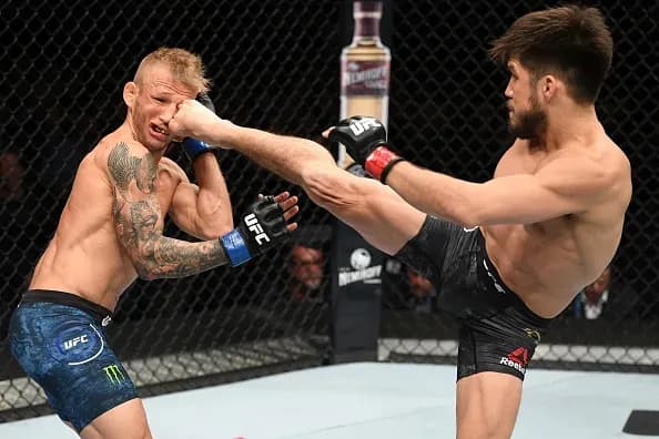 MMA article image