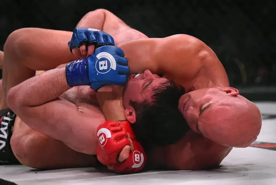 MMA article image