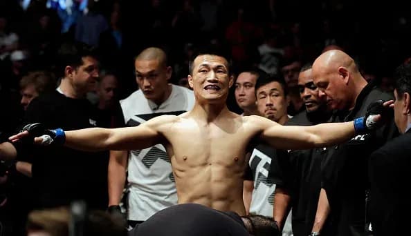 MMA article image