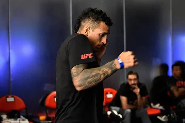 MMA article image
