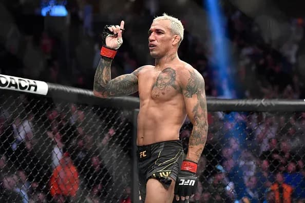 MMA article image