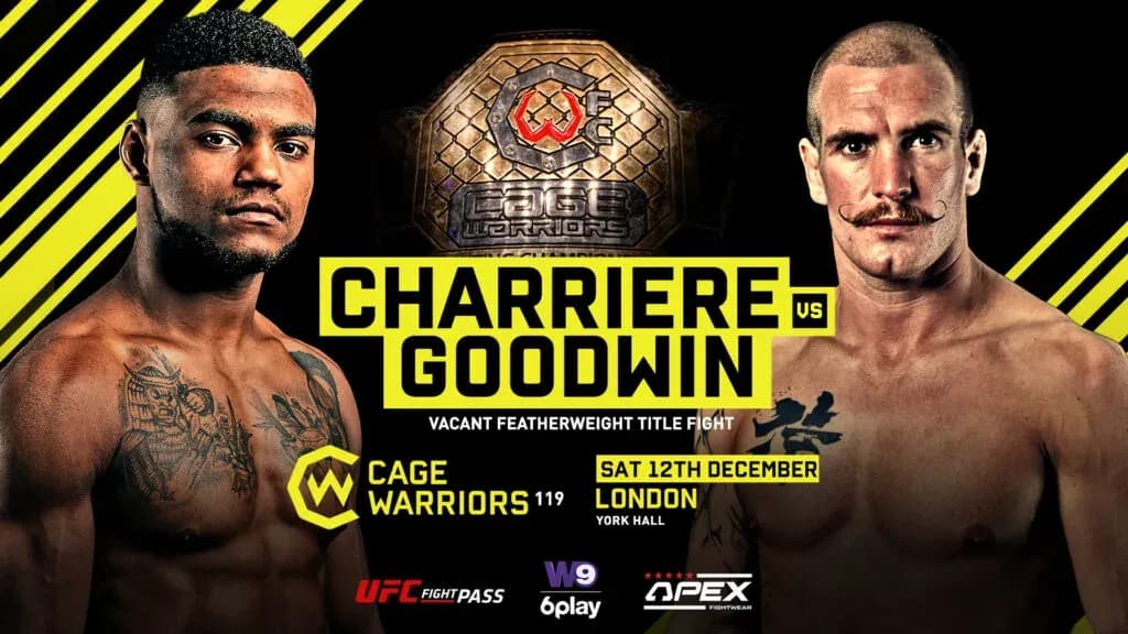 MMA article image