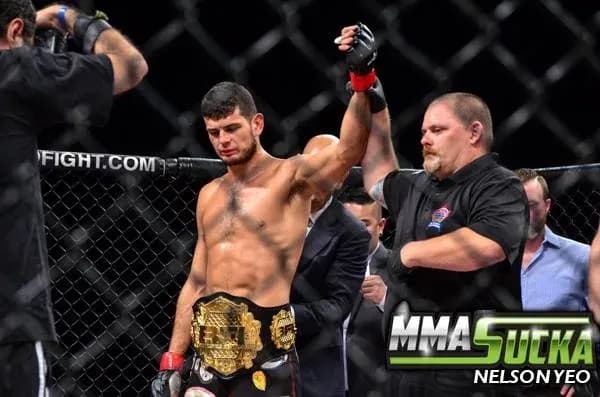 MMA article image