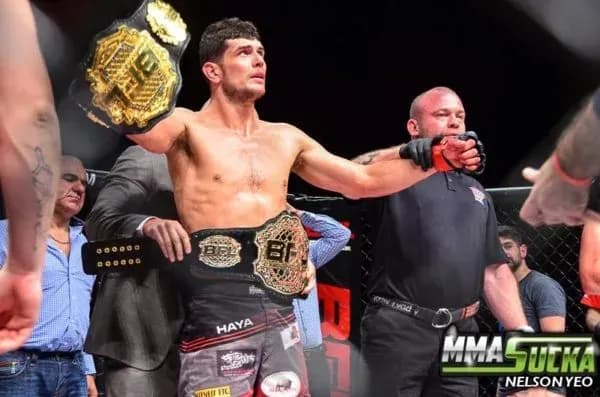 MMA article image