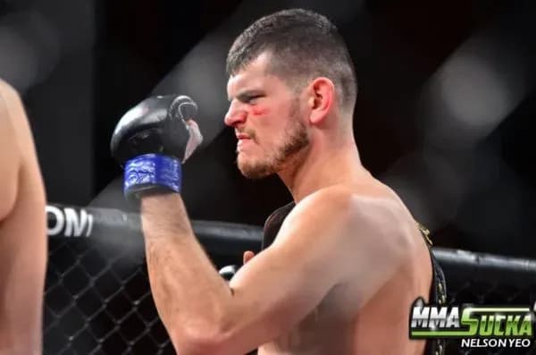MMA article image