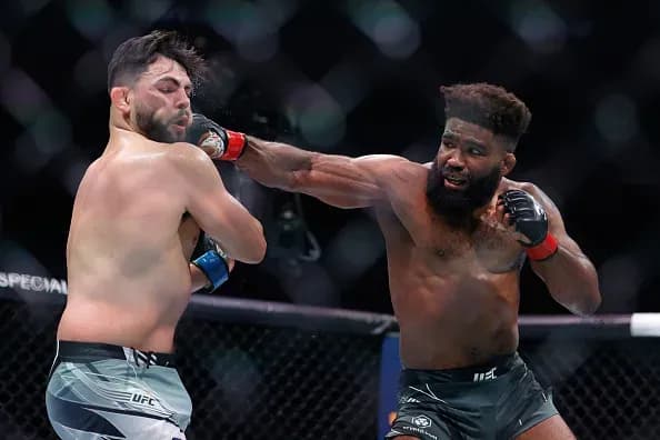 MMA article image