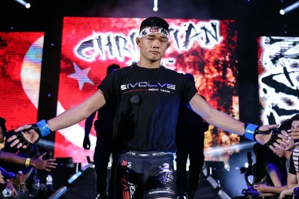 MMA article image