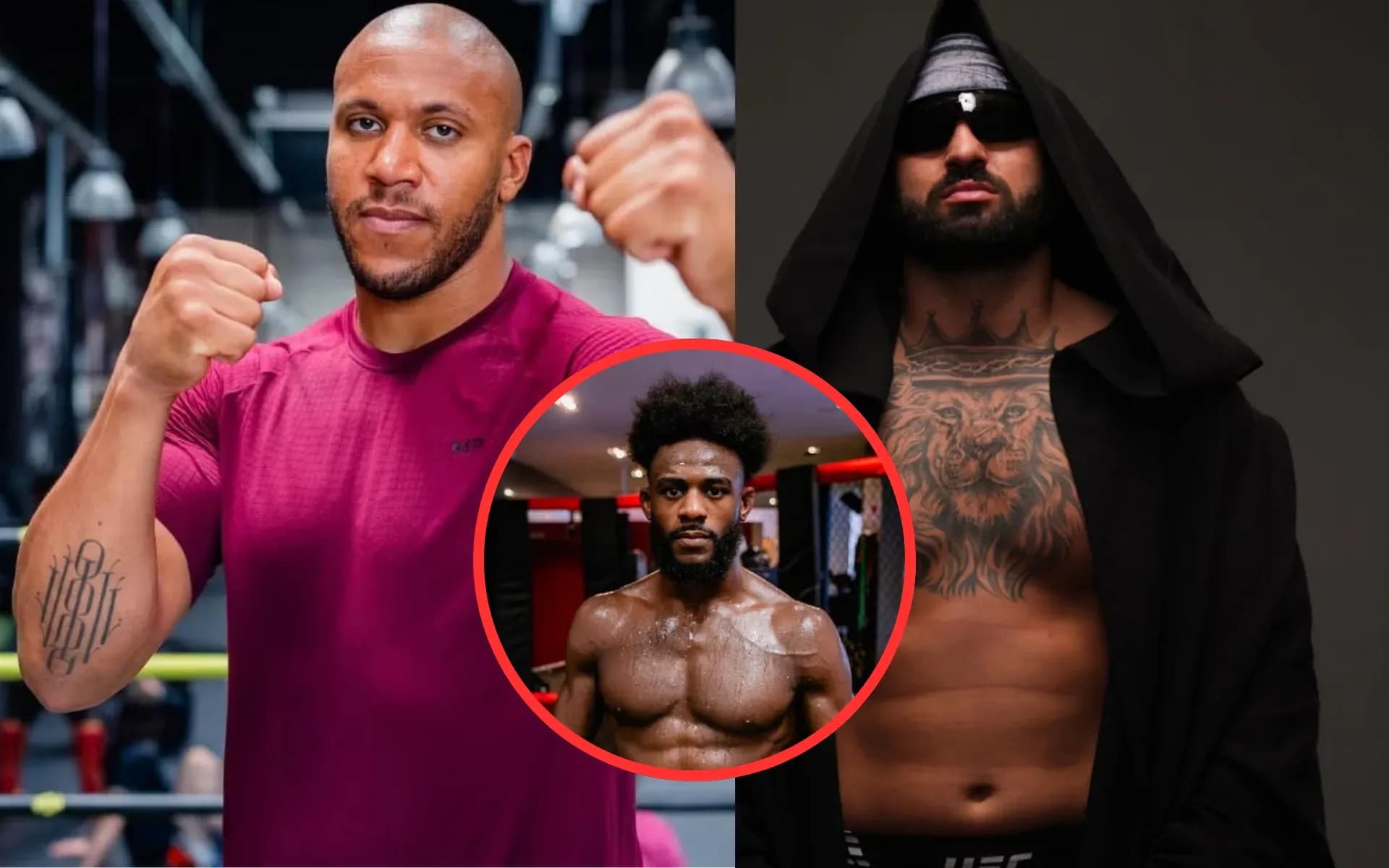 Ciryl Gane and Josh Hokit's fight was addressed by Aljamain Sterling 