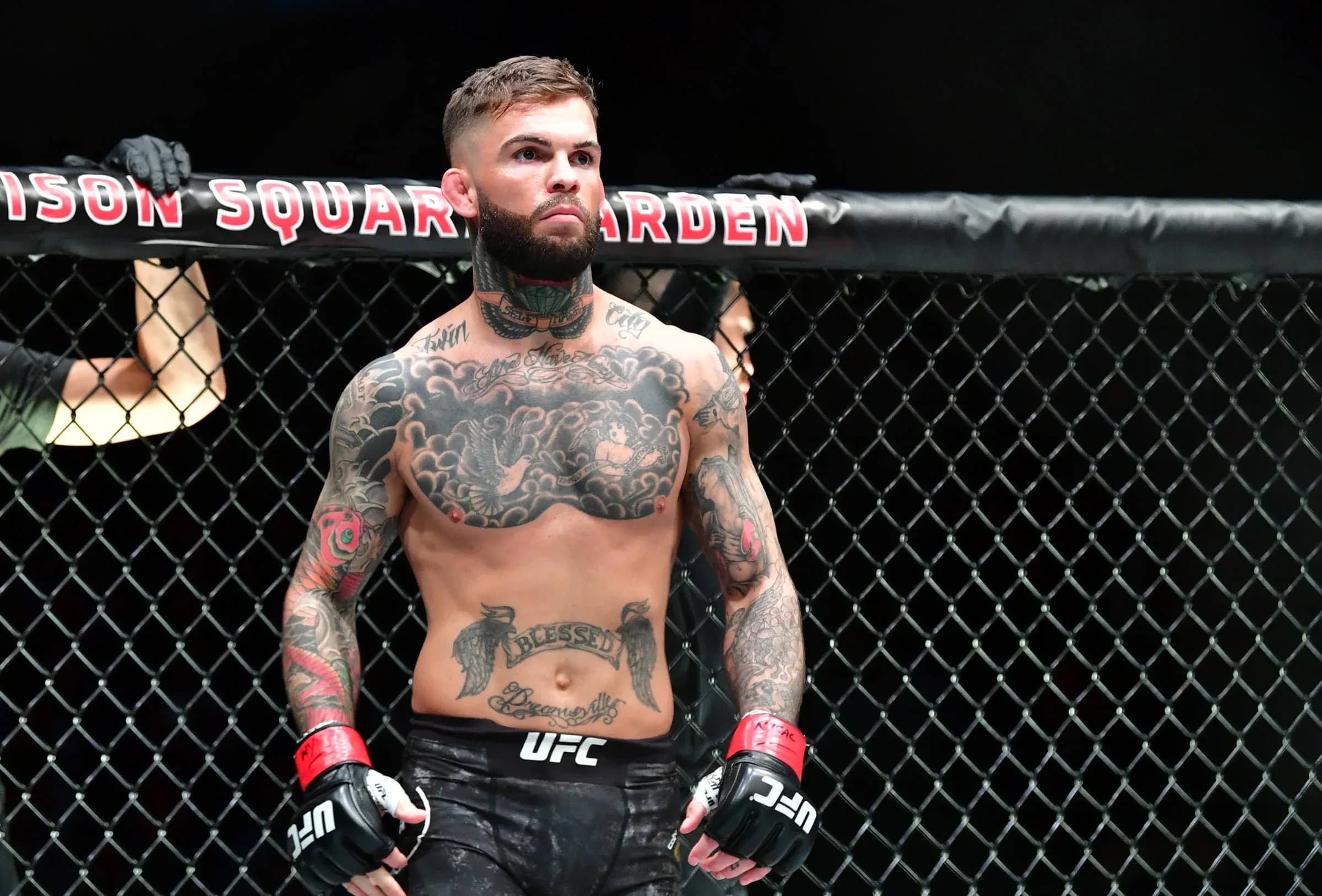 UFC Bantamweight Cody Garbrandt 