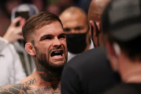 MMA article image