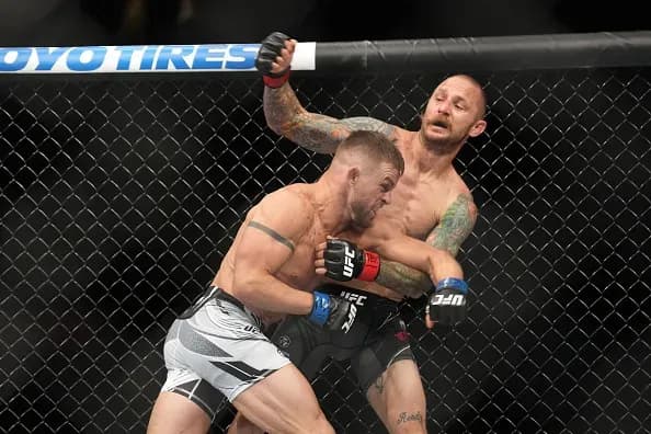 MMA article image