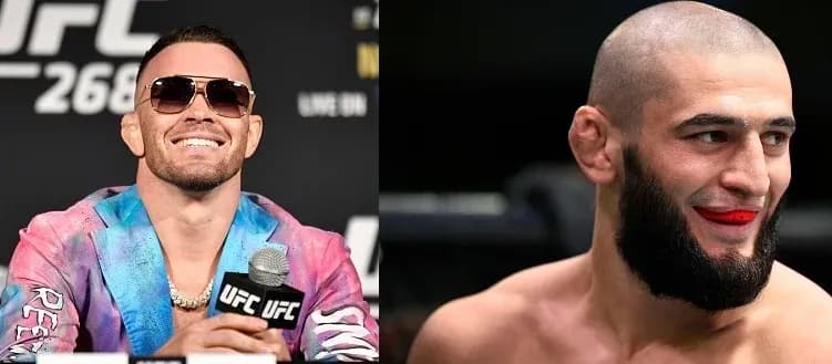 MMA article image