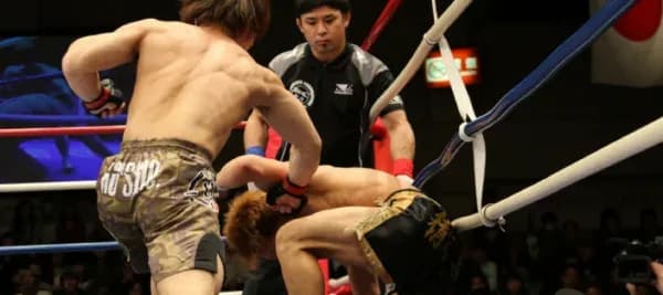 MMA article image