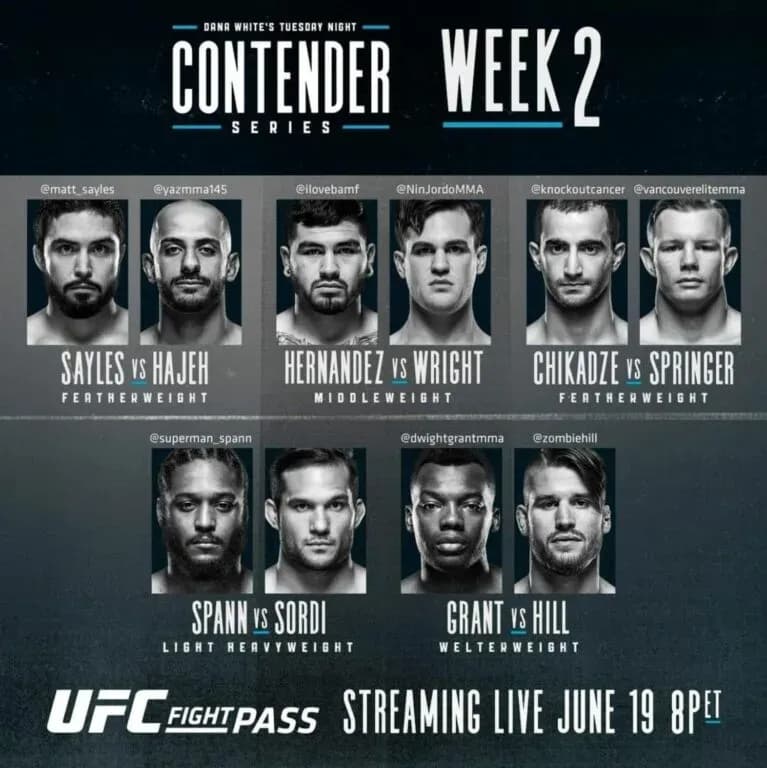 MMA article image